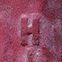 tpnl_1