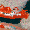 tpnl_6